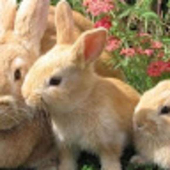 Meet your Posher, Bubby._. - Picture 1 of 1